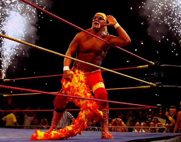 Image of American Pro Wrestler, Hulk Hogan